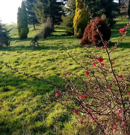 Terra Meiga Turismo Rural *